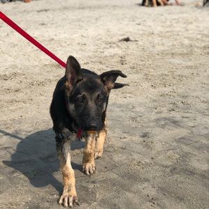 Meet your Posher, Sara